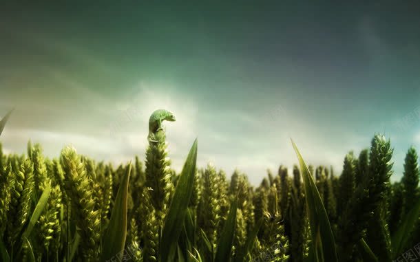 绿色梦幻小草植物jpg设计背景_新图网 https://ixintu.com 梦幻 植物 绿色