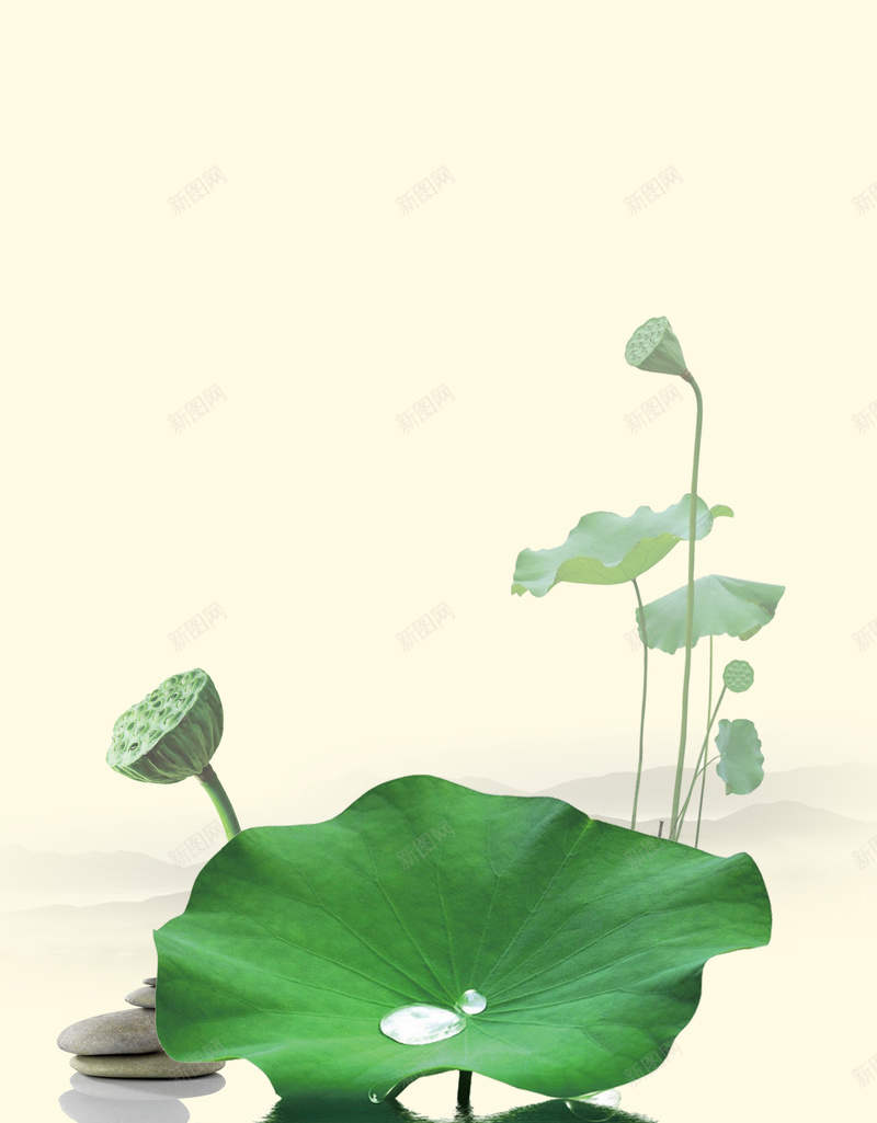 荷花荷叶湖面风景背景psd设计背景_新图网 https://ixintu.com 湖面 素材 背景 荷叶 荷叶背景 荷花 荷花素材 荷花风景 风景 风景背景