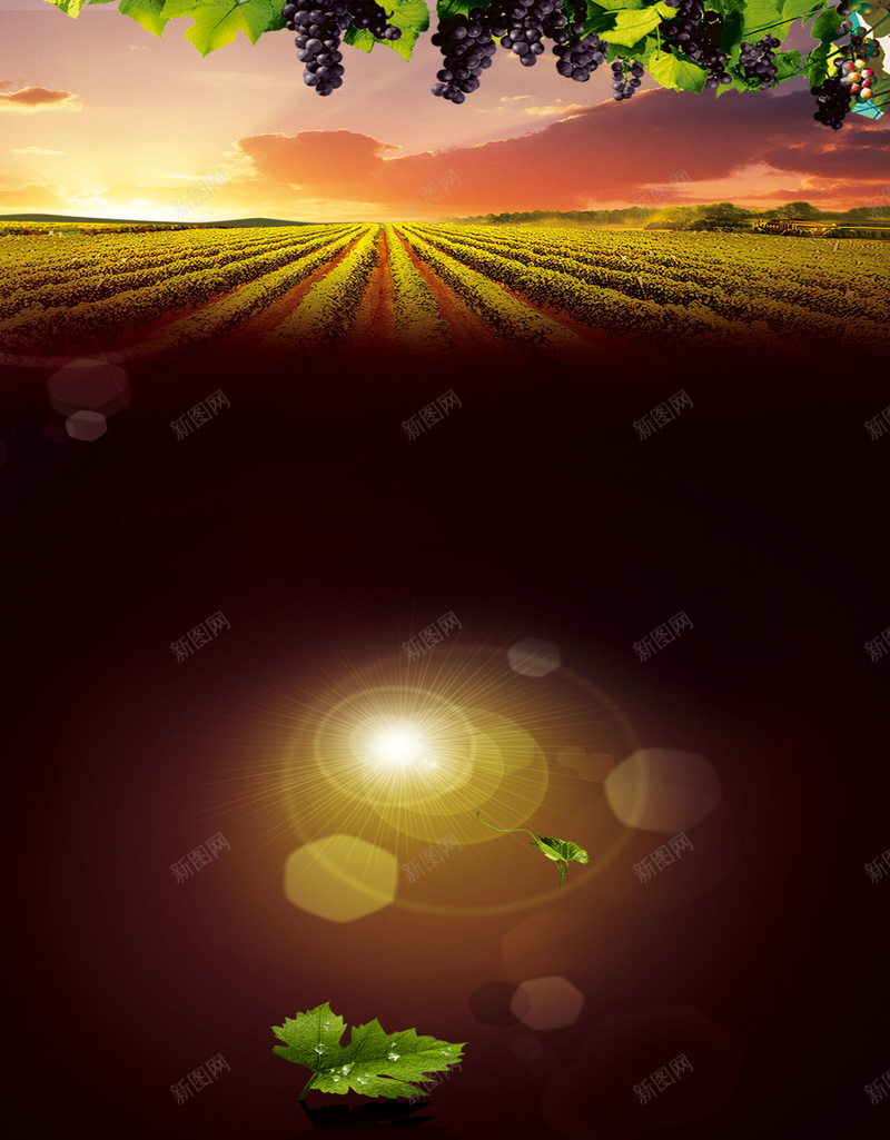 葡萄庄园广告背景psd设计背景_新图网 https://ixintu.com PSD 佳酿 平面 广告 模板 欧式 洋酒 海报 素材 红酒 背景 葡萄庄园 葡萄酒 酒吧 酒庄 酒水