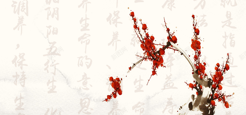 养生中国风红梅海报背景jpg设计背景_新图网 https://ixintu.com 中医 中国风 保健 养生 工笔画 文化 水墨 红梅 调养
