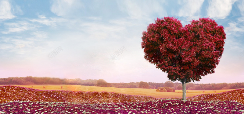 心形树草地花海背景jpg设计背景_新图网 https://ixintu.com 心形树 海报banner 背景图片 花海 草地