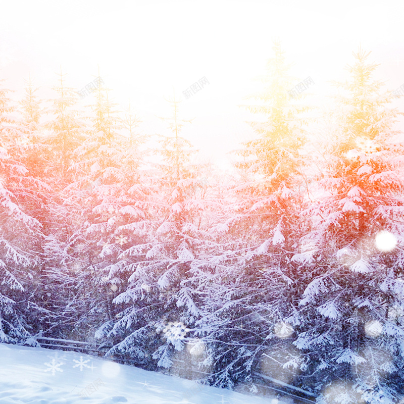 唯美梦幻冬季雪景直通车背景psd_新图网 https://ixintu.com 主图 主图背景 女装 家电 店铺氛围图 摄影 数码 淘宝主图 淘宝直通车 男装 童装 风景