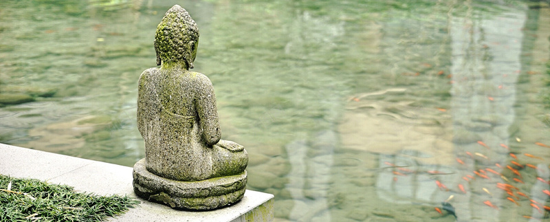 摄影鲤鱼池边上的佛像背影jpg_新图网 https://ixintu.com 佛像 园林 摄影 海报banner 禅 背影 设计 风景 鲤鱼池