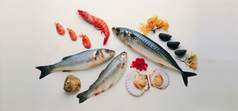 美食肉类海鲜鱼虾贝壳食品食物美味淘宝背景jpg_新图网 https://ixintu.com 摄影 海报banner 海鲜 淘宝背景 美味 美食 肉类 虾 贝壳 风景 食品 食物 鱼