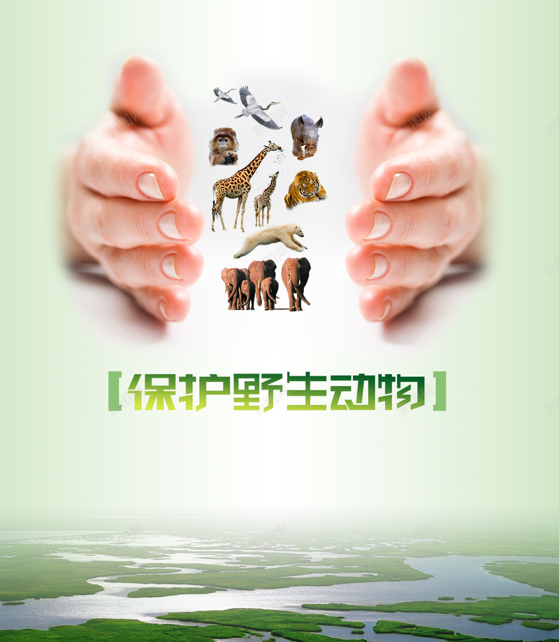 双手保护动物提倡海报背景psd_新图网 https://ixintu.com 保护 双手 大气 大象 提倡 活动 老虎 野生动物 长颈鹿