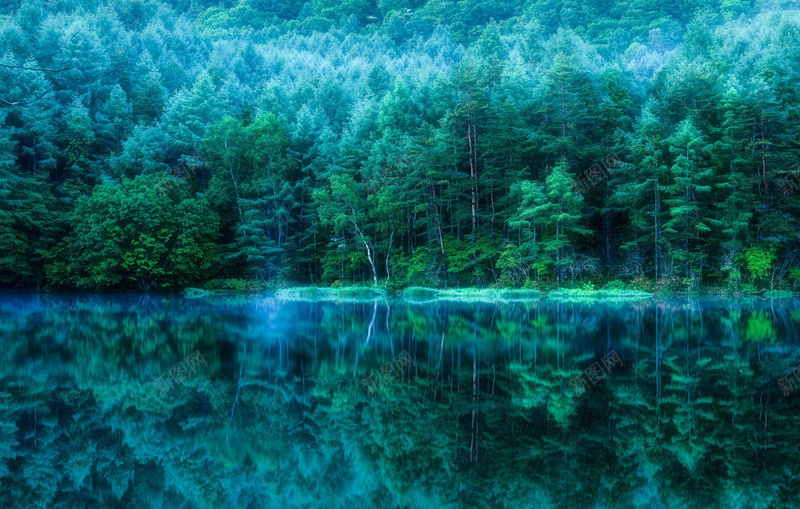 幻境森林背景图jpg设计背景_新图网 https://ixintu.com 幻境 梦幻 森林 河水 浪漫 热带雨林开心 神秘