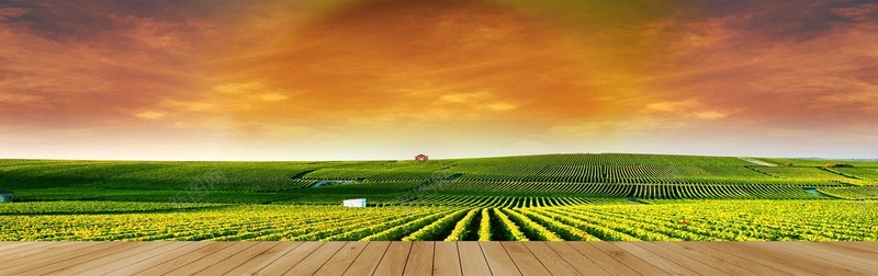 红酒背景jpg_新图网 https://ixintu.com 天猫海报 摄影 海报banner 清新 绿色 自然 风景