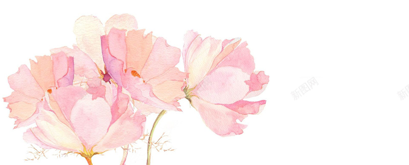 手绘粉色日系清新文艺淡色花朵背景背景