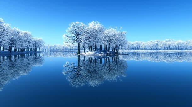 蓝天下的白色树叶海水jpg设计背景_新图网 https://ixintu.com 树叶 海水 白色 蓝天