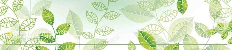 清新自然化妆品精华液海报背景模板psd设计背景_新图网 https://ixintu.com 产品展示 化妆品 宣传 手绘 活动 海报 清新 精华液 绿色 背景模板 自然