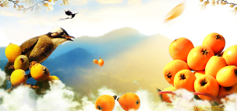 水果简约白色bannerpsd设计背景_新图网 https://ixintu.com banner 优惠 促销 折扣 枇杷 水果 清新 生鲜 电商 白色 黄色
