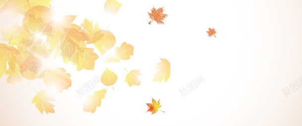 秋季背景黄色jpg设计背景_新图网 https://ixintu.com 秋季 背景 黄色