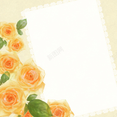 玫瑰花装饰相册边框背景背景