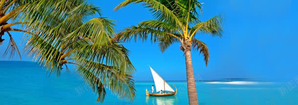海南旅游椰树清新背景bannerjpg设计背景_新图网 https://ixintu.com banner 帆船 旅游 椰树 海南 清新 背景