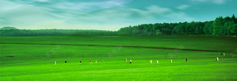 大草原清新背景bannerjpg设计背景_新图网 https://ixintu.com banner 其他 大草原 奶牛 树林 森林 海报banner 清新 背景