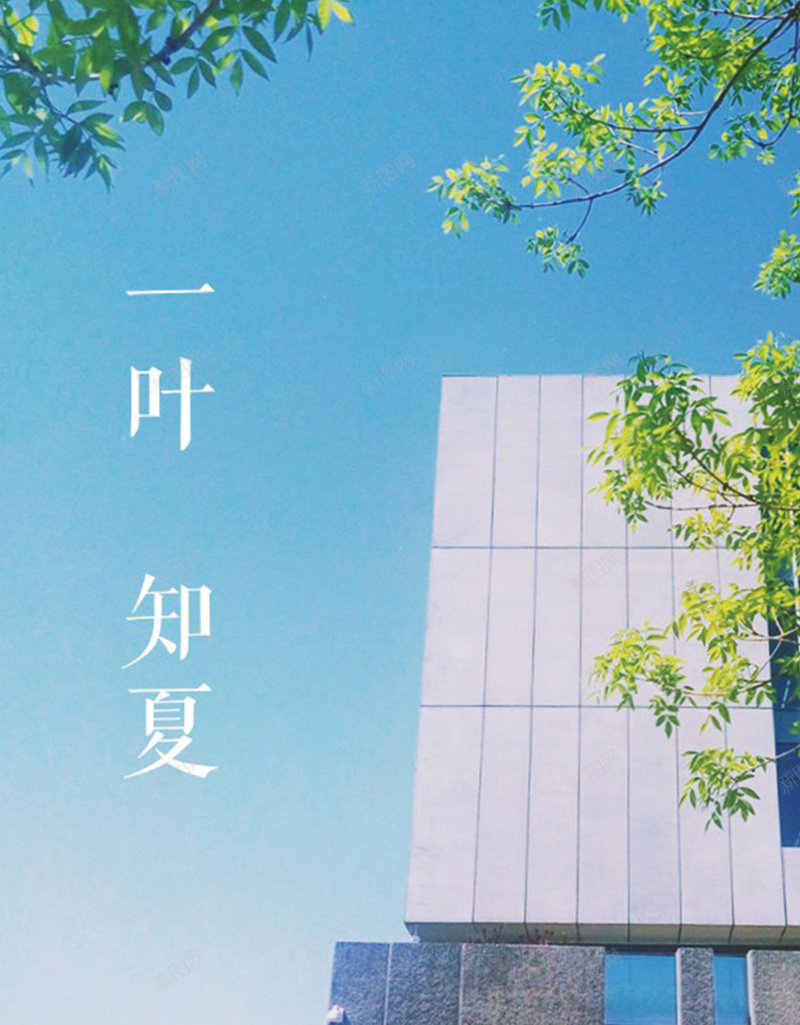 师大蓝色绿叶建筑背景图psd_新图网 https://ixintu.com 小清新开心 师大 建筑 摄影 文艺 绿叶 蓝色 风景