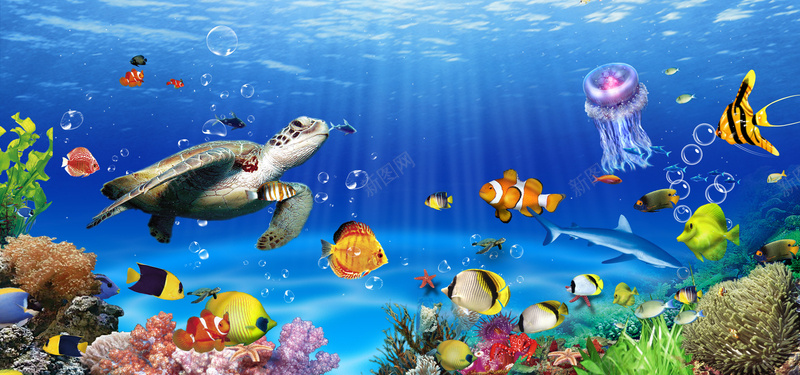 海底背景psd_新图网 https://ixintu.com 唯美 摄影 海底世界 海报banner 清新 风景 鱼