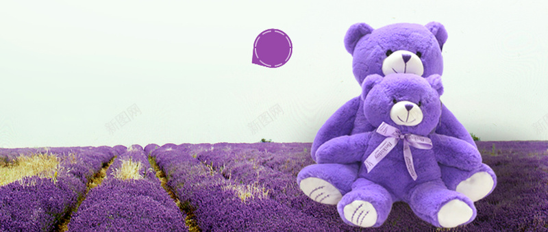 清新浪漫背景psd_新图网 https://ixintu.com 摄影 浪漫 海报banner 清新 熊 简约 紫色 薰衣草 风景