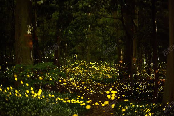 夜晚下浪漫景色宽屏jpg设计背景_新图网 https://ixintu.com 夜晚 景色 浪漫