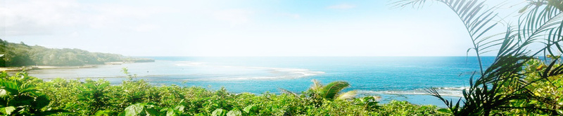 门户网站banner创意psd_新图网 https://ixintu.com 摄影 无敌海景 树木 海岛 海报banner 风景
