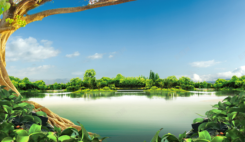 清新夏日湖景化妆品海报背景psdpsd设计背景_新图网 https://ixintu.com 化妆品海报 古树 夏季 夏季户外 夏日 护肤品 清新 湖景 背景psd 藤蔓