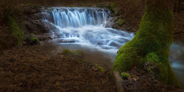 峡谷瀑布大树苔藓jpg设计背景_新图网 https://ixintu.com 大树 峡谷 瀑布 苔藓