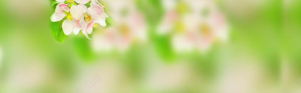 春季淘宝页jpg设计背景_新图网 https://ixintu.com 图片 春季