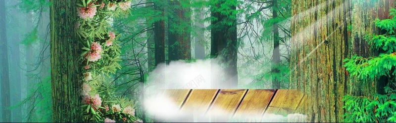 树林迷雾云背景图psd_新图网 https://ixintu.com 云 摄影 树林 海报banner 绿色 迷雾 风景