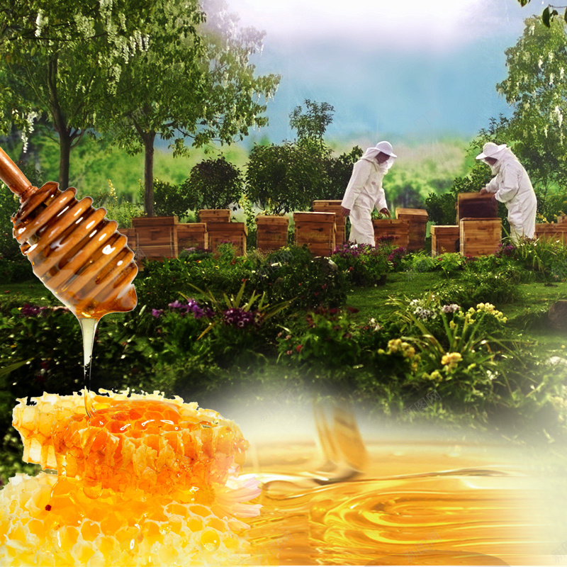 蜂蜜蜂巢食品主图jpg设计背景_新图网 https://ixintu.com 主图 直通车 蜂元园 蜂巢 蜂蜜 食品 食物