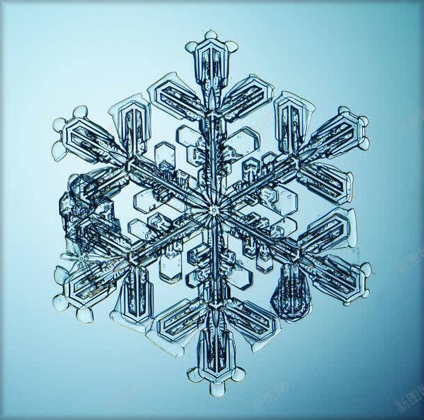 晶莹剔透的雪花jpg设计背景_新图网 https://ixintu.com 其他生物 其它类别 冰晶 图片素材 晶莹剔透 晶莹剔透的雪花图片图片 晶莹剔透的雪花图片图片素材下载 生物世界 背景花边 蓝色背景 雪花