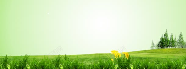 草坪背景jpg设计背景_新图网 https://ixintu.com 背景 草坪