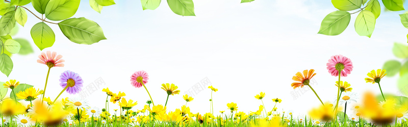 唯美花朵海报背景psd设计背景_新图网 https://ixintu.com 古典背景 图片素材 夏天背景 夏季背景 大气 天猫背景 女装 广告背景 时尚背景 时尚花朵 春季新品 梦话背景 气泡背景 海报bann 海报背景 海边美景 淘宝背景 清新背景 田园背景 童装 简约 粉色背景 红色背景 绿色背景 花卉背景 花园背景 花朵 花朵背景 花藤背景 轮播图背景 雏菊 鲜花背景