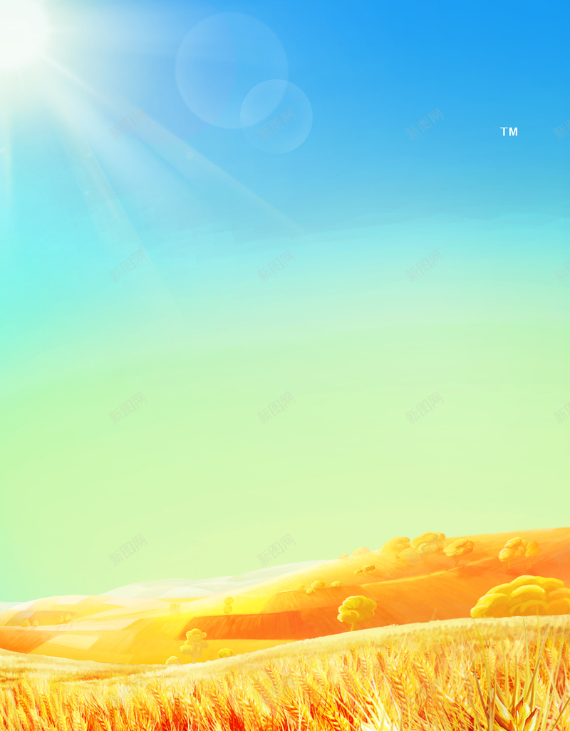 饼干海报背景psd设计背景_新图网 https://ixintu.com 优质 小麦 摄影 风景 饼干