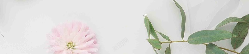 师恩难忘教师节简约psd设计背景_新图网 https://ixintu.com 9月10日 不忘师恩 师恩难忘 感恩 感谢老师 教师节 桃李满园 桃李满天下 简约 设计