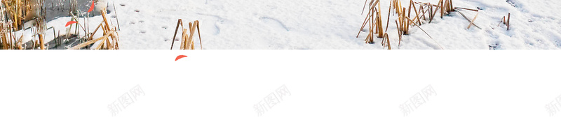 冬天冬季节气大雪广告psd设计背景_新图网 https://ixintu.com psd分层 下雪 入冬 冬天 冬季 卡通 大雪 小雪 广告设计 手绘 海报 源文件 立冬 节气 落叶 雪花 霜降