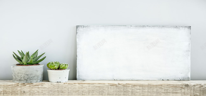 白色画框和植物盆栽jpg设计背景_新图网 https://ixintu.com 海报banner 画板 画框 白色 盆栽 纹理 质感