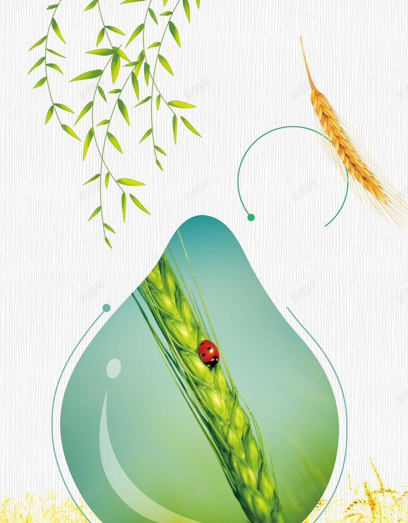 五谷杂粮丰收稻米小麦海报背景psd设计背景_新图网 https://ixintu.com 丰收 五谷杂粮 养生磨坊 包装 包装设计 大米 小米 小麦 有机杂粮 杂粮包装袋 标贴设计 水稻 海报 燕麦 牛皮纸 白面 碗筷子 稷 稻米 粗粮中国风 粮食 素材 细粮 菽 高粱 麦 麦子 黄豆 黍
