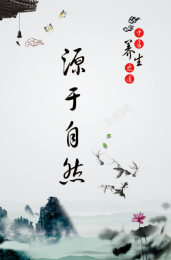 中国风水墨画中医养生海报海报