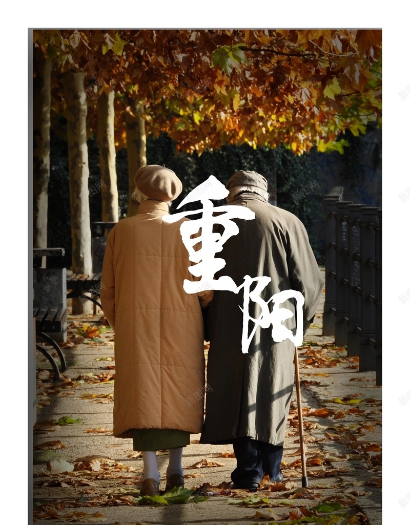 重阳节秋叶背景图海报psd_新图网 https://ixintu.com 呵护 宣传 摄影 棕色 海报 秋叶 素材暖心 老年人 重阳节 风景