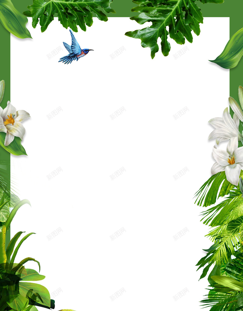 绿色自然花草海报背景psd设计背景_新图网 https://ixintu.com 春天 海报 海报背景 绿色 绿色背景 背景 自然 花草 飞鸟