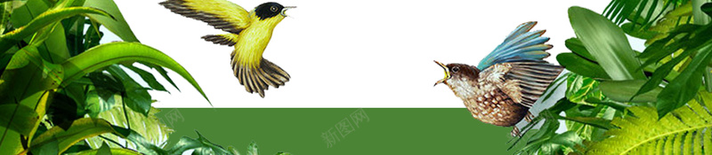 绿色自然花草海报背景psd设计背景_新图网 https://ixintu.com 春天 海报 海报背景 绿色 绿色背景 背景 自然 花草 飞鸟