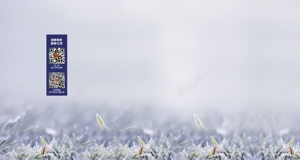 白霜草地海报背景jpg设计背景_新图网 https://ixintu.com 海报 白霜 背景 草地