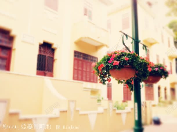 鲜花街道浪漫唯美jpg设计背景_新图网 https://ixintu.com 浪漫 街道 鲜花