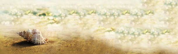 海滩海螺梦幻背景bannerjpg设计背景_新图网 https://ixintu.com banner 梦幻 海滩 海螺 背景