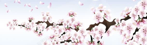 春季桃花背景jpg设计背景_新图网 https://ixintu.com 女装 梦幻背景 浪漫背景 淘宝素材 淘宝背景 男装 童话 背景素材