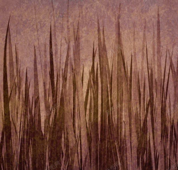 植物草地背景jpg设计背景_新图网 https://ixintu.com 图片素材 底纹背景 怀旧背景 植物草地背景图片 植物草地背景图片素材下载 纹理背景 背景花边 背景边框 草地背景