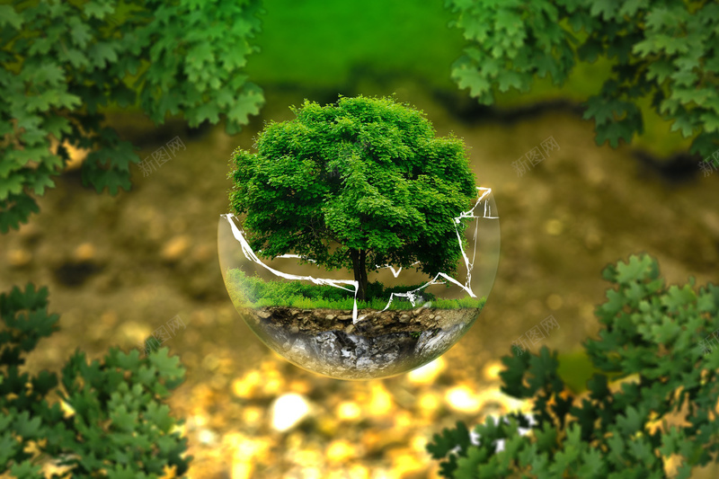 保护脆弱的生态环境植树节背景jpg设计背景_新图网 https://ixintu.com 保护 保护环境 植树节 水资源 生态 绿植 背景 脆弱