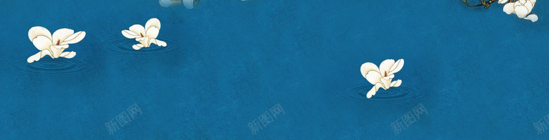 玉兰花海报banner背景psd设计背景_新图网 https://ixintu.com 中国风 底纹 海报banner 玉兰 花