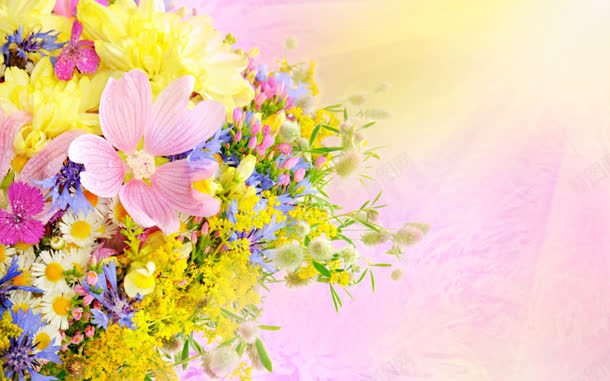 粉色世界花朵阳光jpg设计背景_新图网 https://ixintu.com 世界 粉色 花朵 阳光