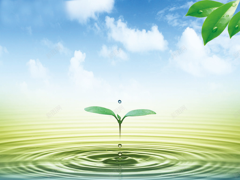 节约用水环保海报背景psd设计背景_新图网 https://ixintu.com 广告设计模板 水资源 海报设计 源文件 生命之源 用水 绿叶 节约 节约用水 节约用水图片图片下载